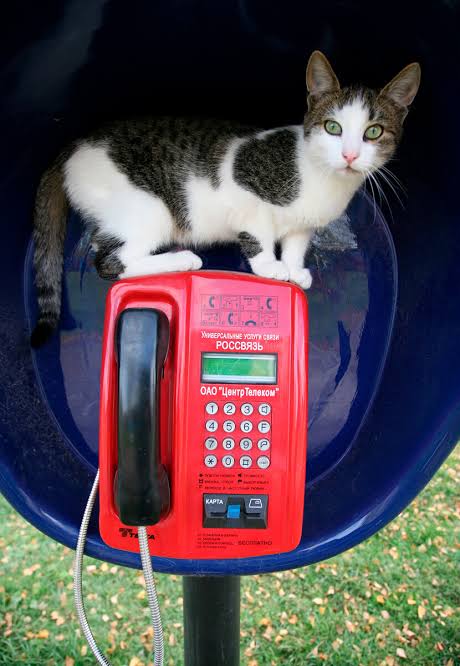 Russian Payphone- TMGS (ТМГС) payphones